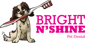 Bright N Shine Logo